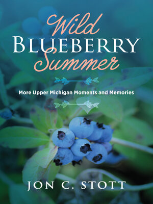cover image of Wild Blueberry Summer